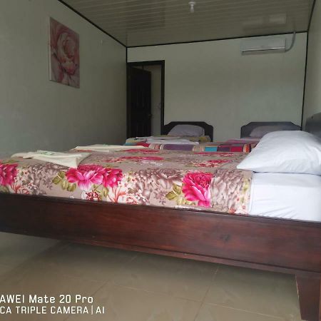 Hotel River View Tortuguero Exterior photo